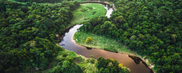 forêt amazonienne